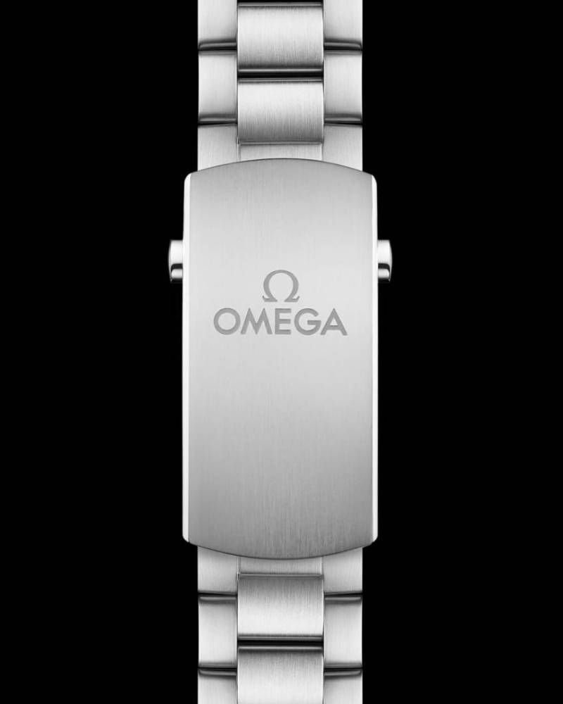 Omegg_a Seamaster Planet Ocean 600M silver Black