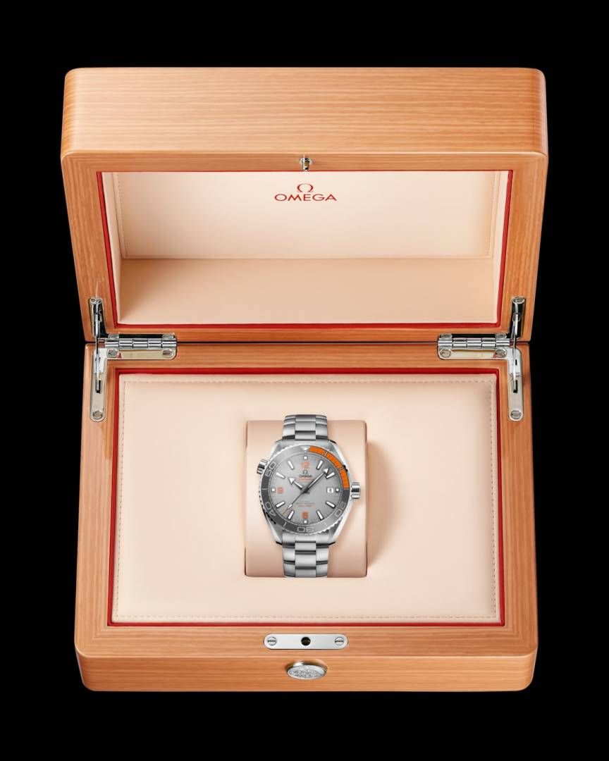 Omegg_a Seamaster Planet Ocean 600M silver gray