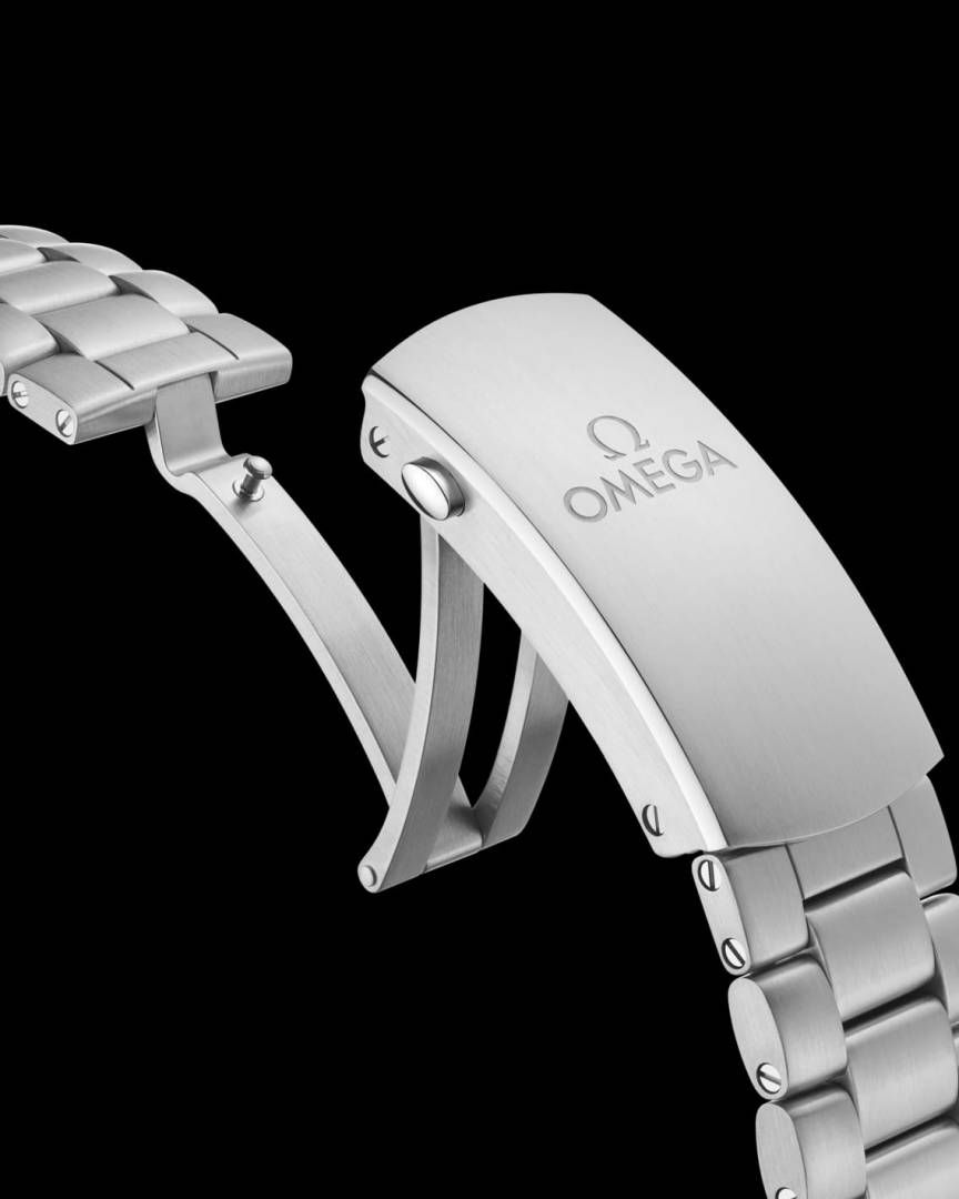 OMEGG_A Seamaster Planet Ocean 600M Co-Axial Chronograph plan silver gray.