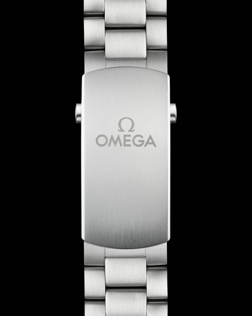 OMEGG_A Seamaster Planet Ocean 600M Co-Axial Chronograph plan silver gray.
